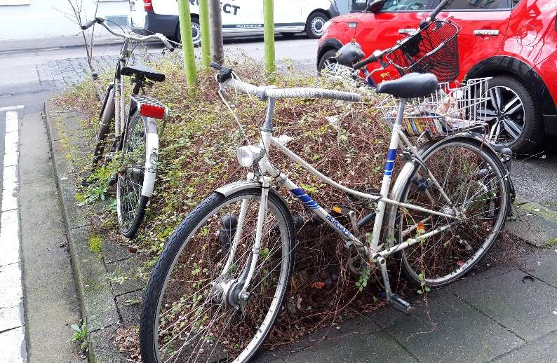 Bild zu gemeldetem Anliegen vom *2024-02-16 12:08:52