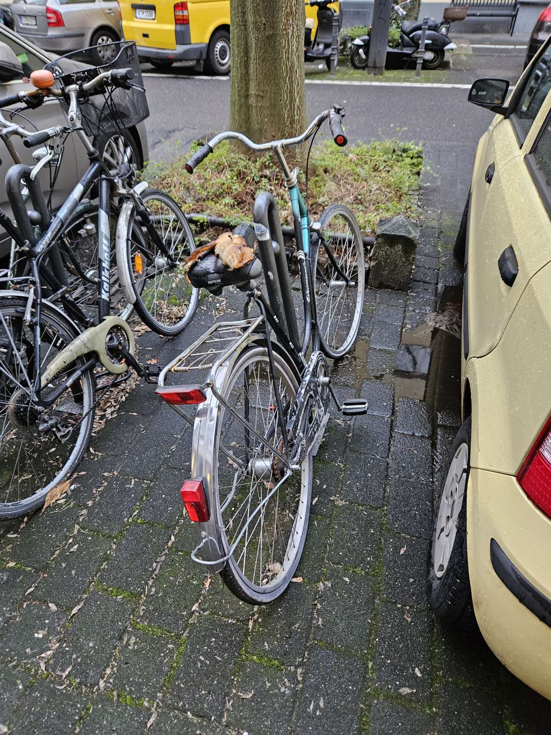 Bild zu gemeldetem Anliegen vom *2024-02-20 20:17:25