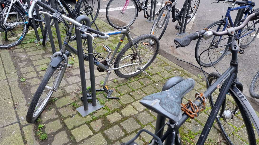 Bild zu gemeldetem Anliegen vom *2024-02-26 11:38:03