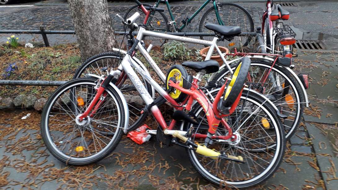 Bild zu gemeldetem Anliegen vom *2024-02-23 06:10:08