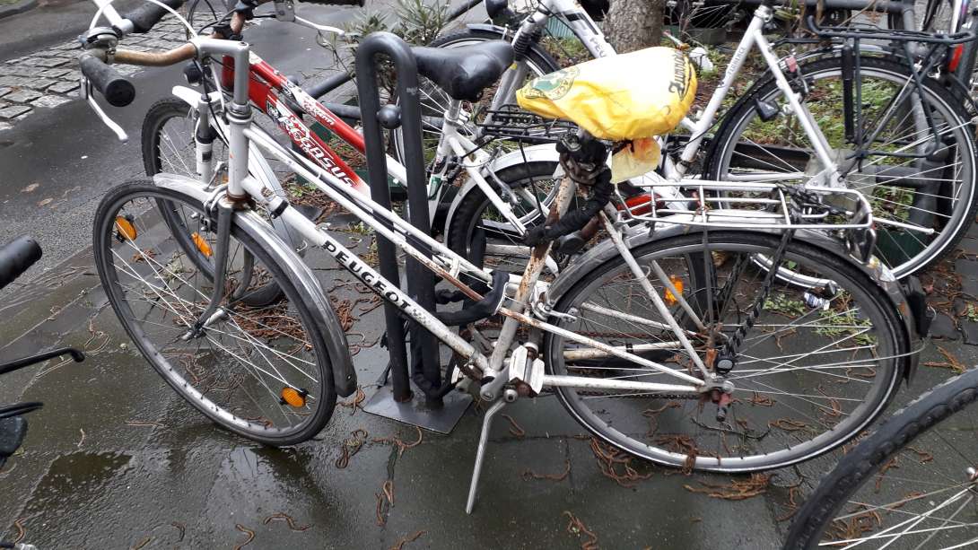 Bild zu gemeldetem Anliegen vom *2024-02-23 06:15:34