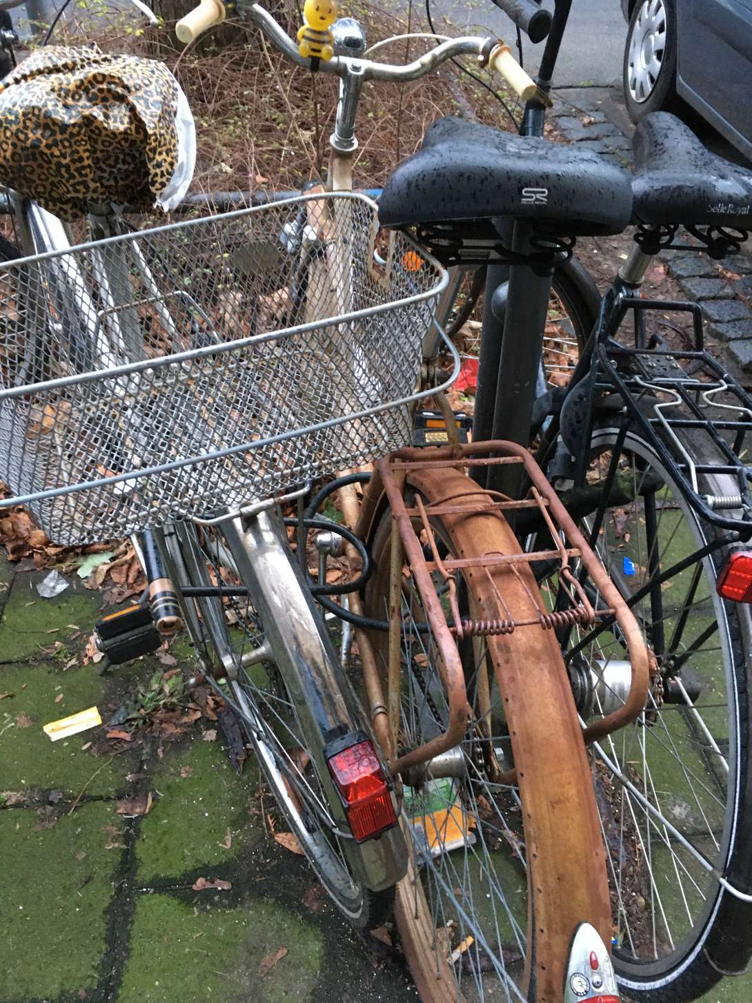 Bild zu gemeldetem Anliegen vom *2024-05-08 09:31:43