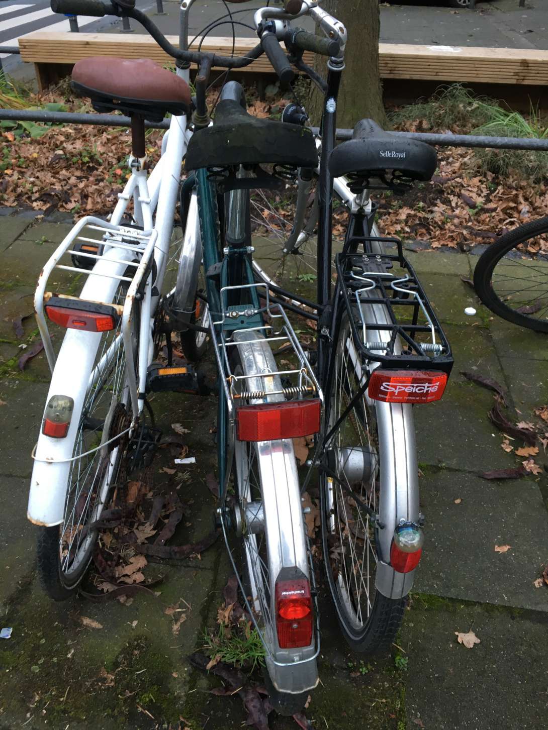 Bild zu gemeldetem Anliegen vom *2024-05-28 15:02:17