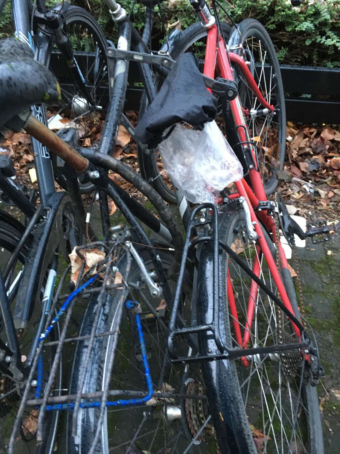 Bild zu gemeldetem Anliegen vom *2024-05-08 09:31:43