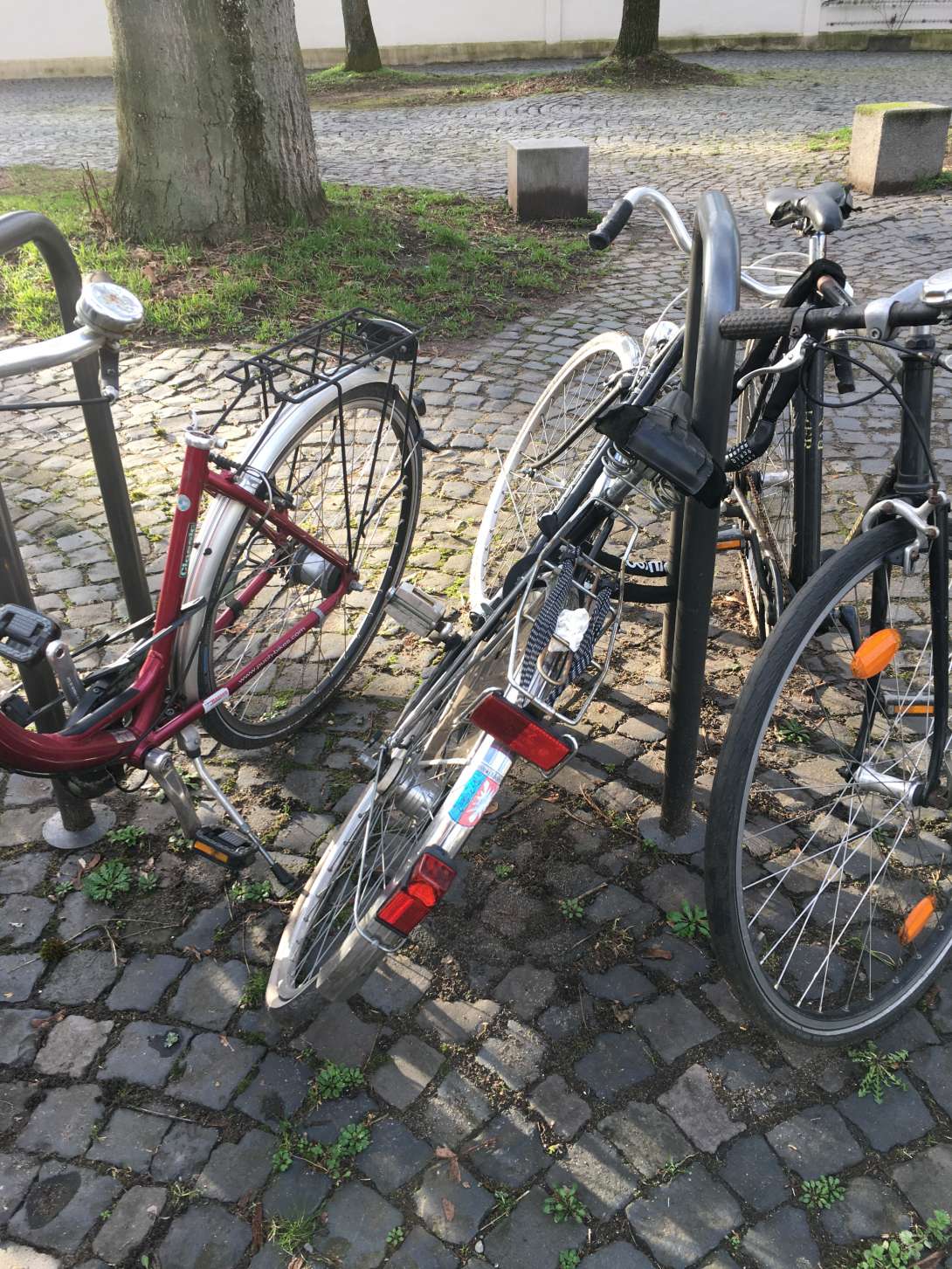 Bild zu gemeldetem Anliegen vom *2024-02-20 14:44:31