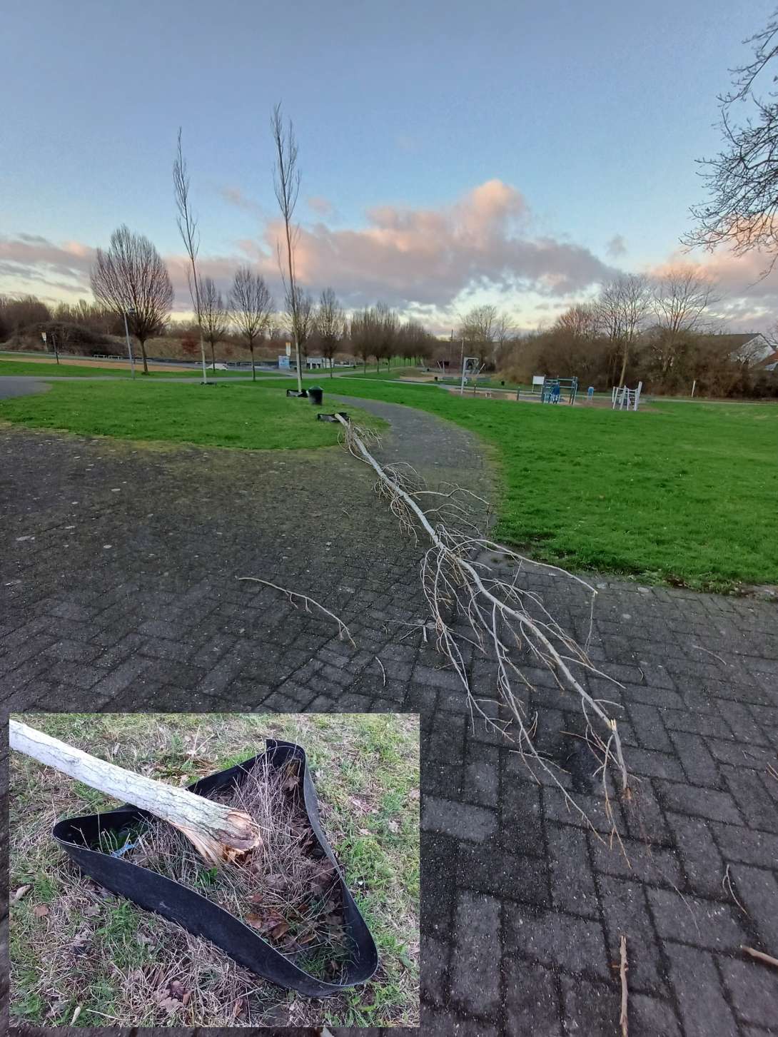 Bild zu gemeldetem Anliegen vom *2024-02-23 08:32:12