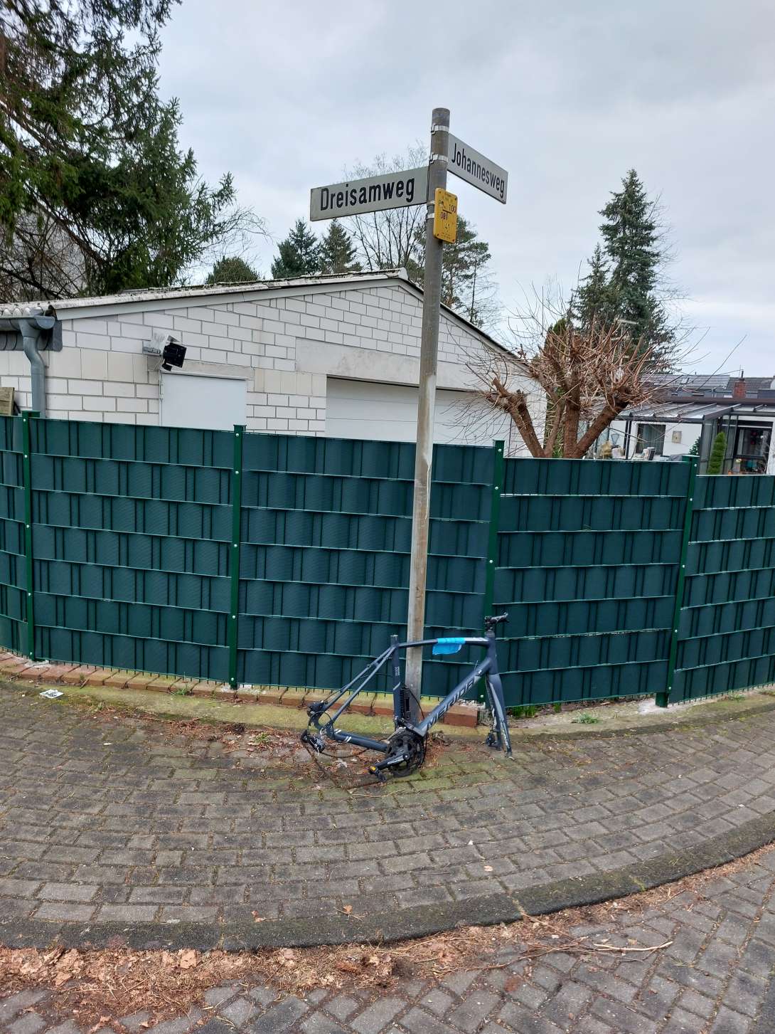 Bild zu gemeldetem Anliegen vom *2024-02-01 11:09:24