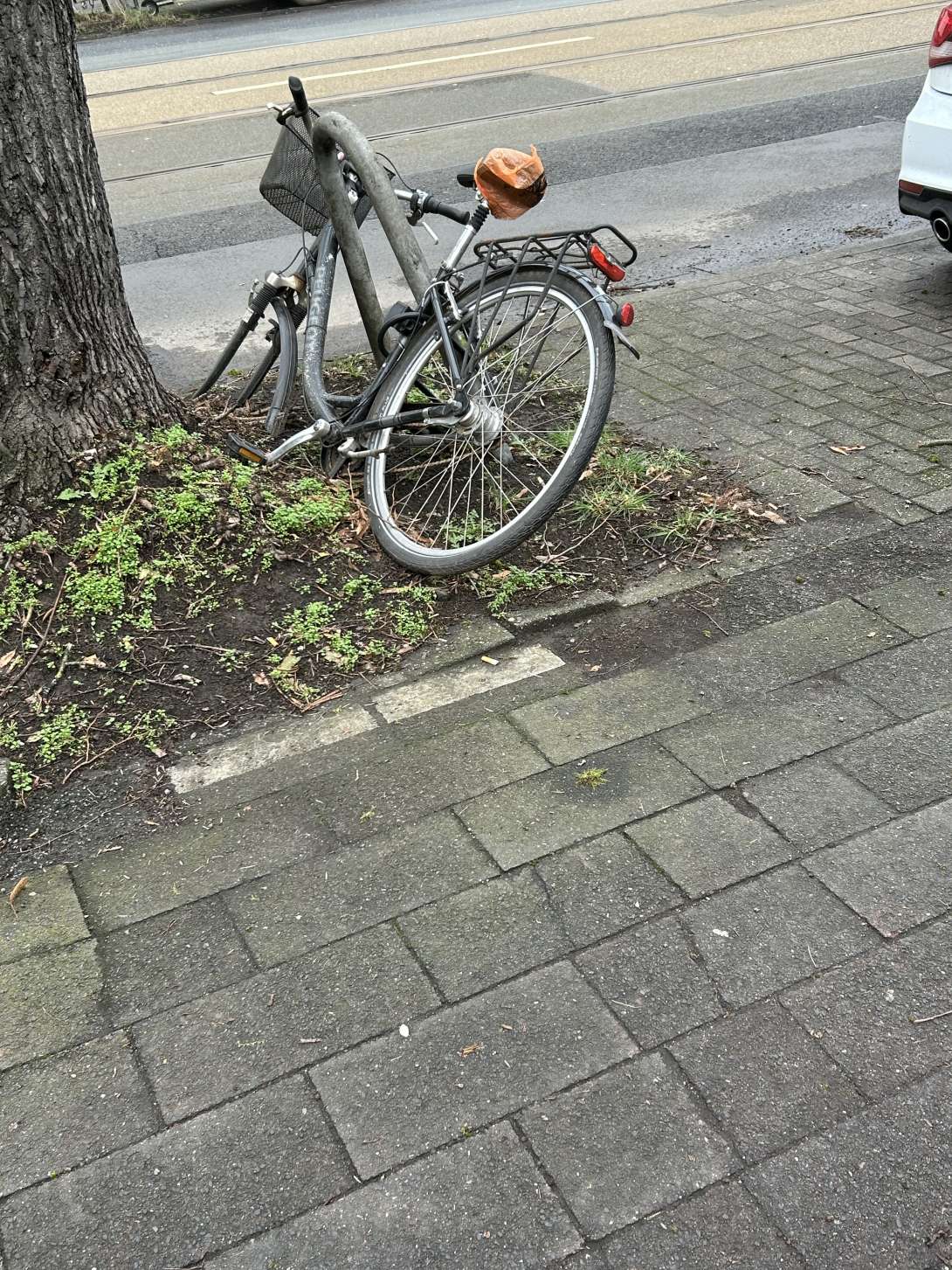 Bild zu gemeldetem Anliegen vom *2024-02-20 14:25:38