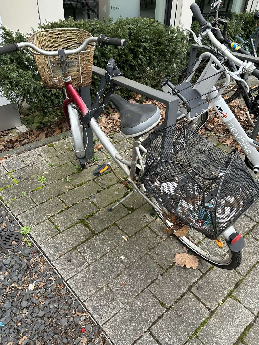 Bild zu gemeldetem Anliegen vom *2024-02-26 11:32:49