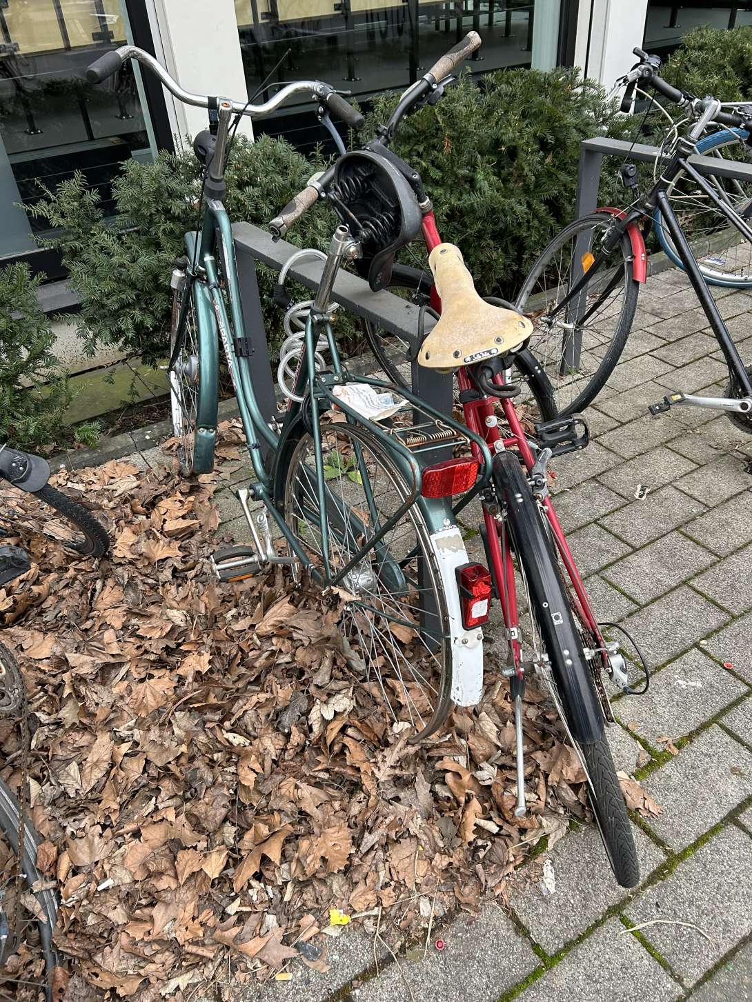 Bild zu gemeldetem Anliegen vom *2024-02-26 11:30:34