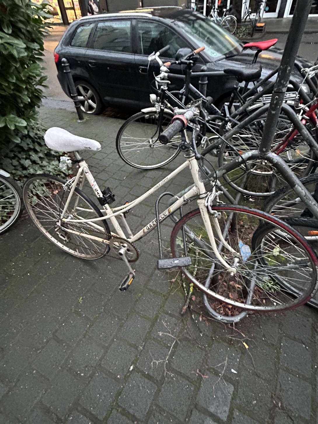 Bild zu gemeldetem Anliegen vom *2024-02-27 13:33:41