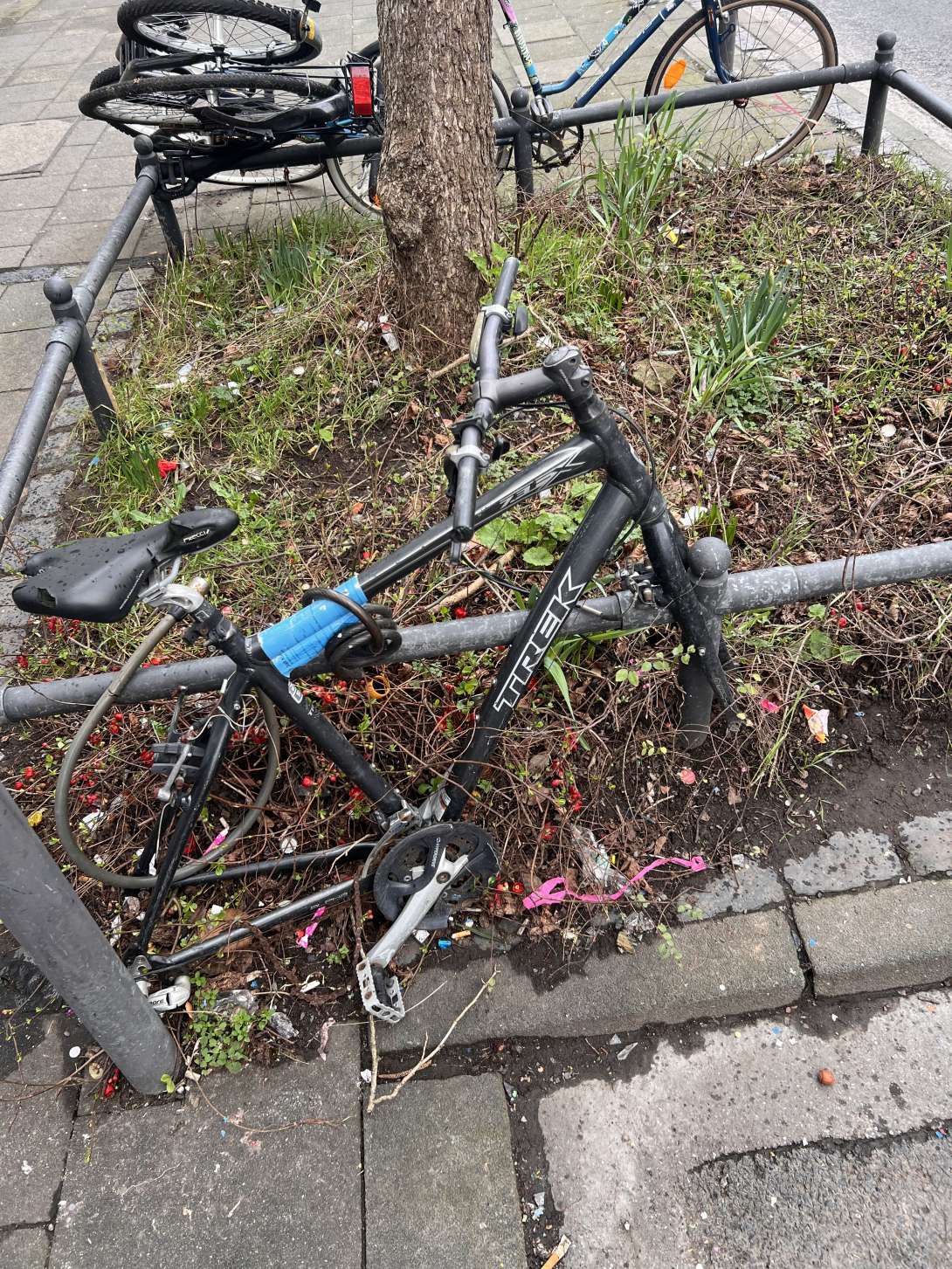 Bild zu gemeldetem Anliegen vom *2024-02-16 12:04:47