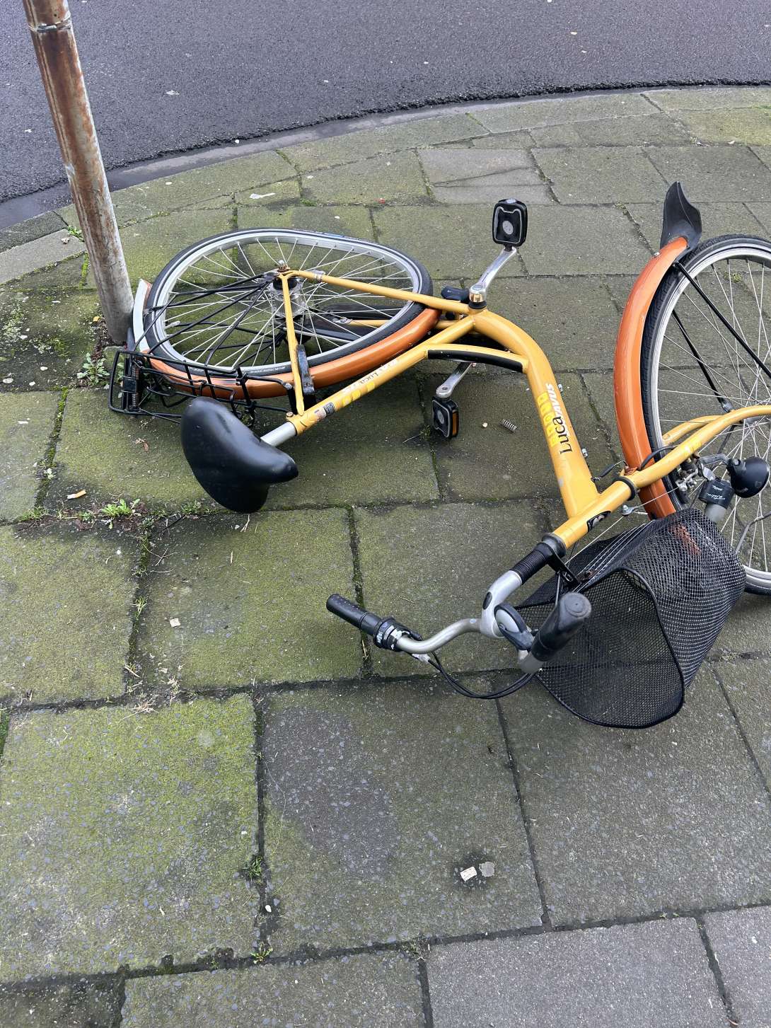 Bild zu gemeldetem Anliegen vom *2024-02-19 19:03:11