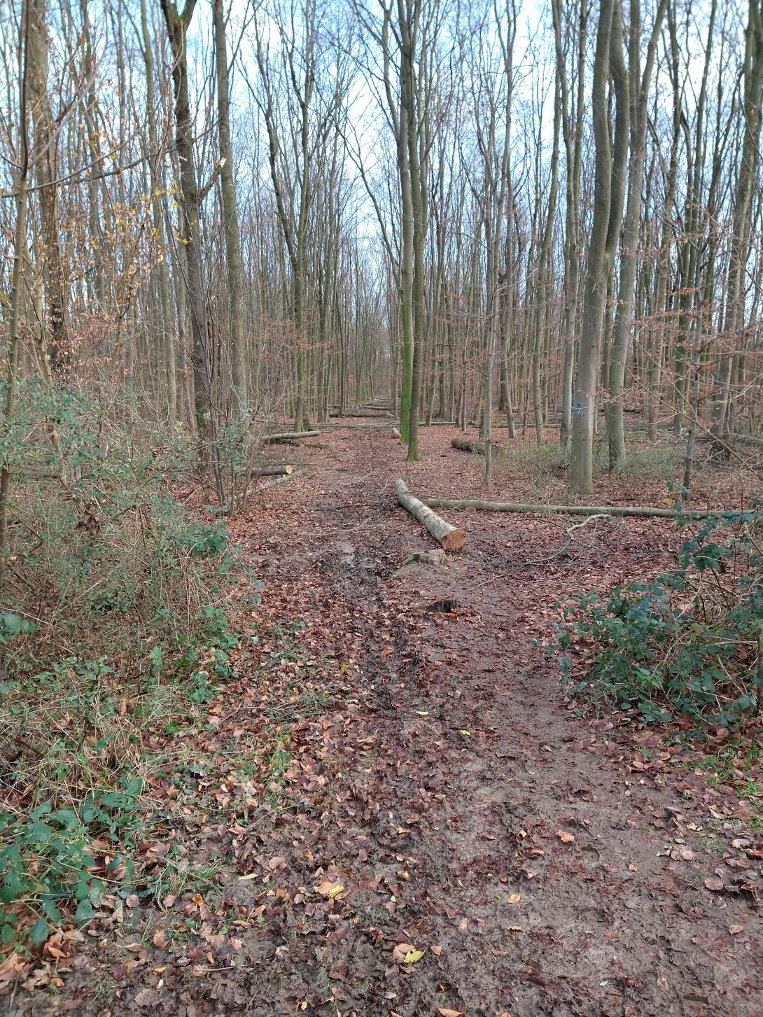 Bild zu gemeldetem Anliegen vom *2024-02-14 11:37:43