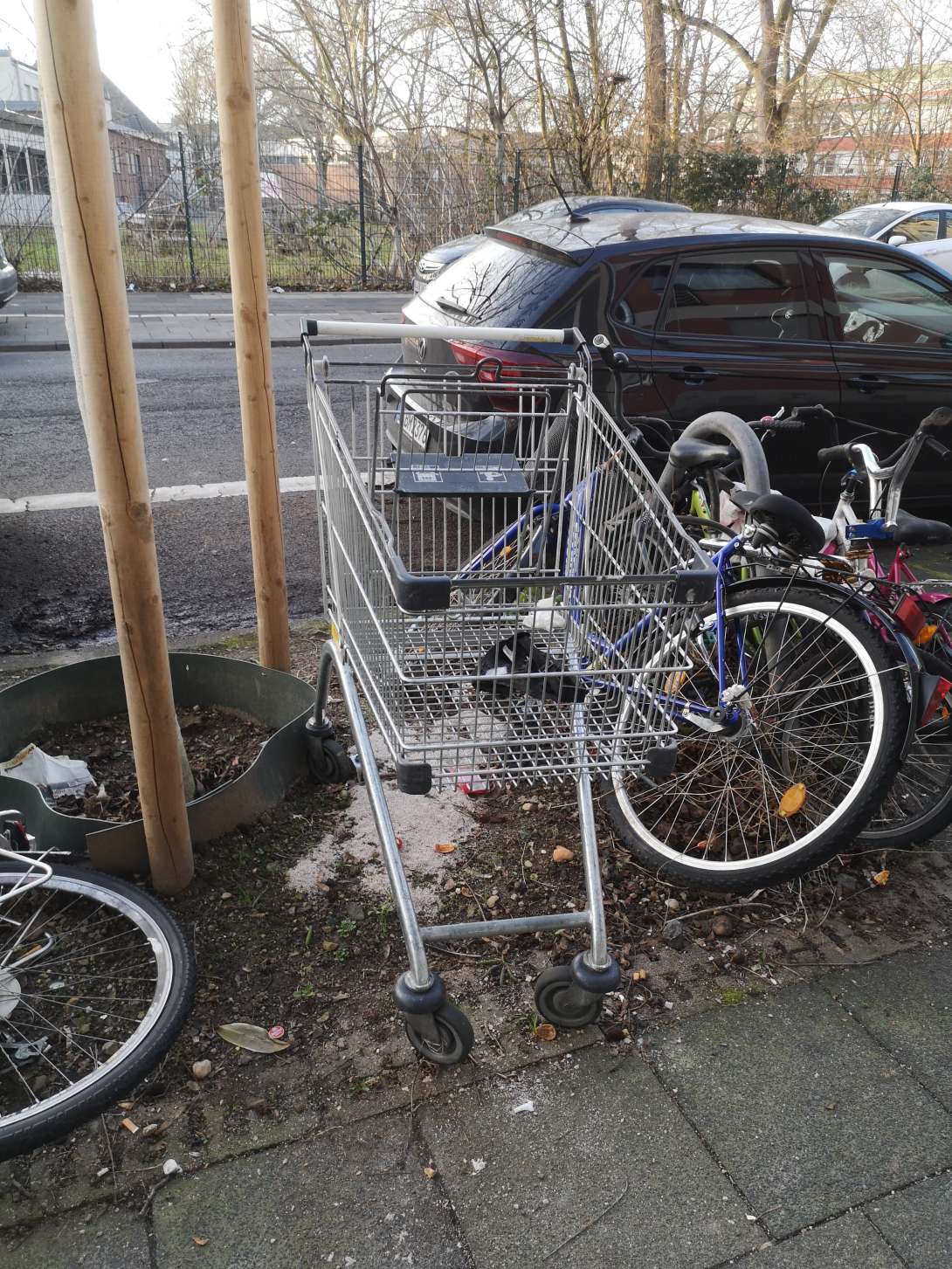 Bild zu gemeldetem Anliegen vom *2024-02-06 07:25:39