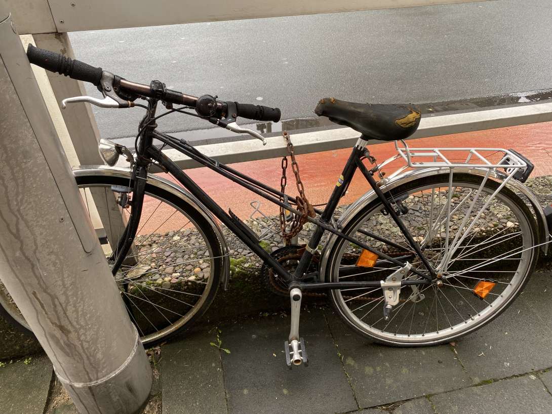 Bild zu gemeldetem Anliegen vom *2024-02-23 13:00:02