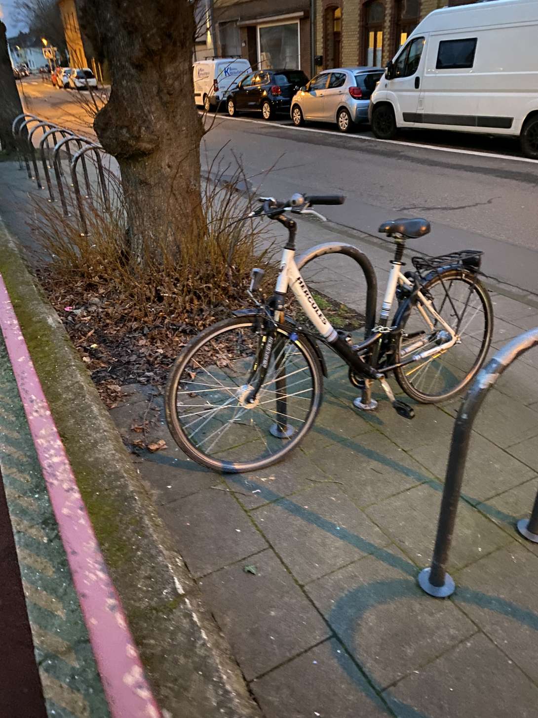 Bild zu gemeldetem Anliegen vom *2024-02-26 07:38:37