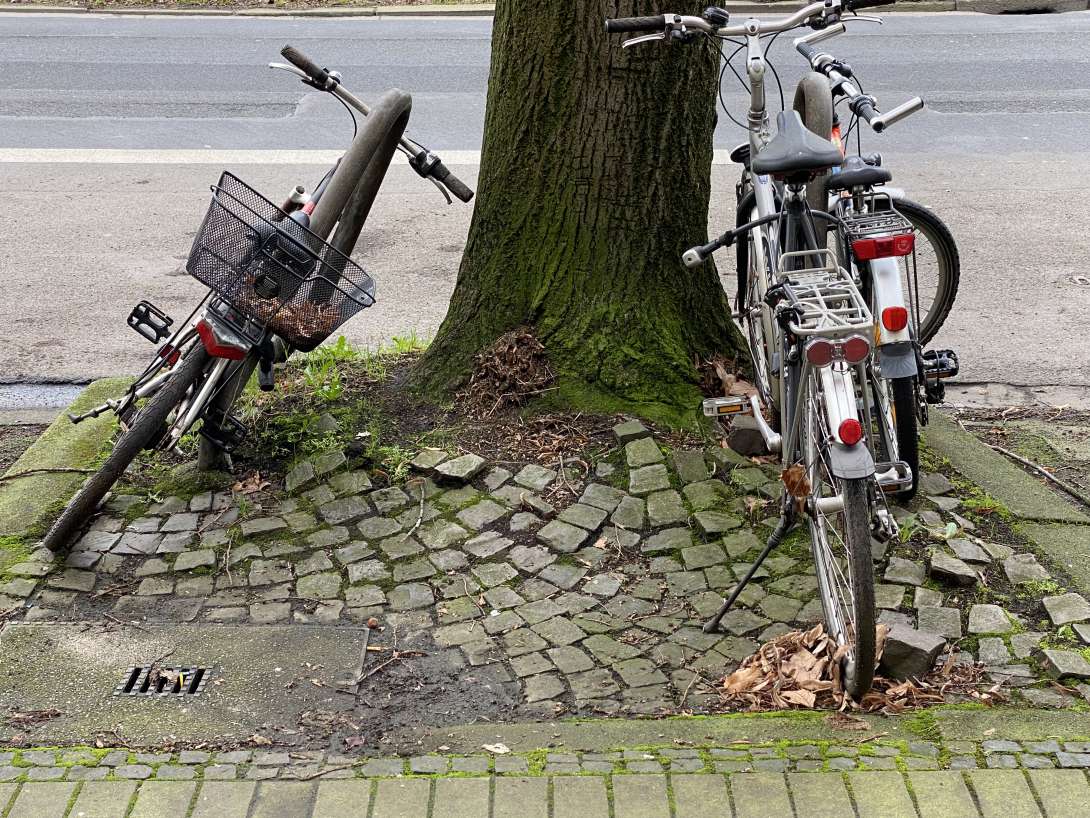 Bild zu gemeldetem Anliegen vom *2024-02-20 13:49:24