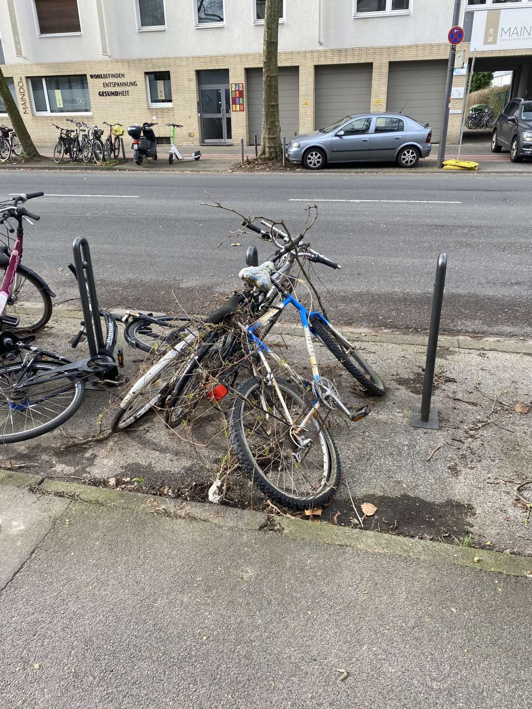 Bild zu gemeldetem Anliegen vom *2024-05-08 09:31:43