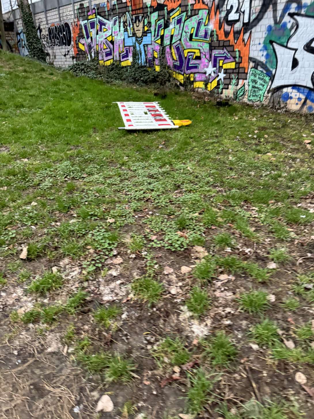 Bild zu gemeldetem Anliegen vom *2024-02-26 07:08:22