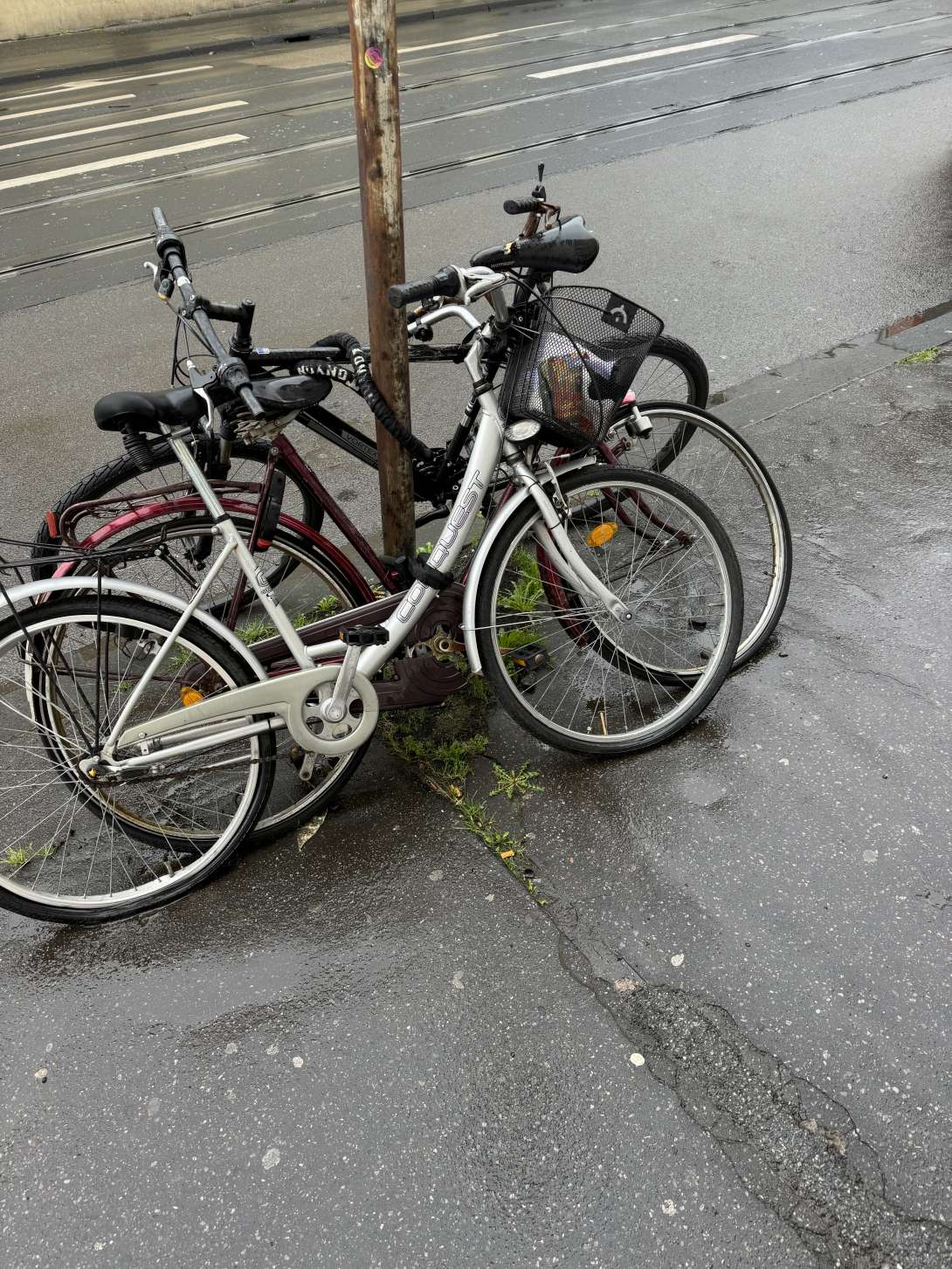 Bild zu gemeldetem Anliegen vom *2024-02-26 13:19:12