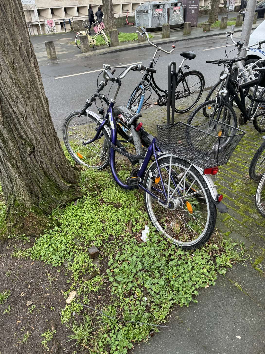 Bild zu gemeldetem Anliegen vom *2024-02-26 13:15:09