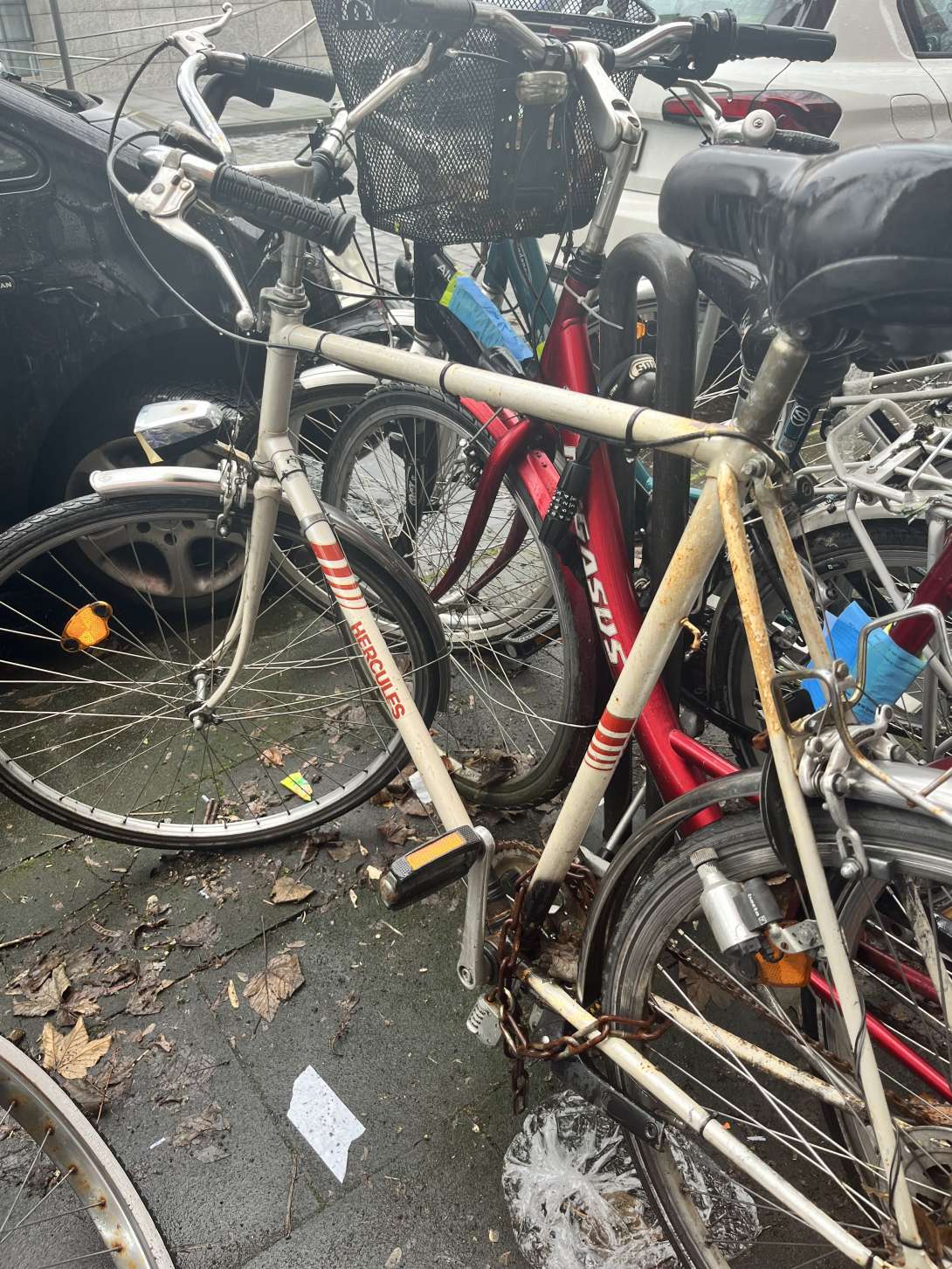 Bild zu gemeldetem Anliegen vom *2024-02-26 13:01:52