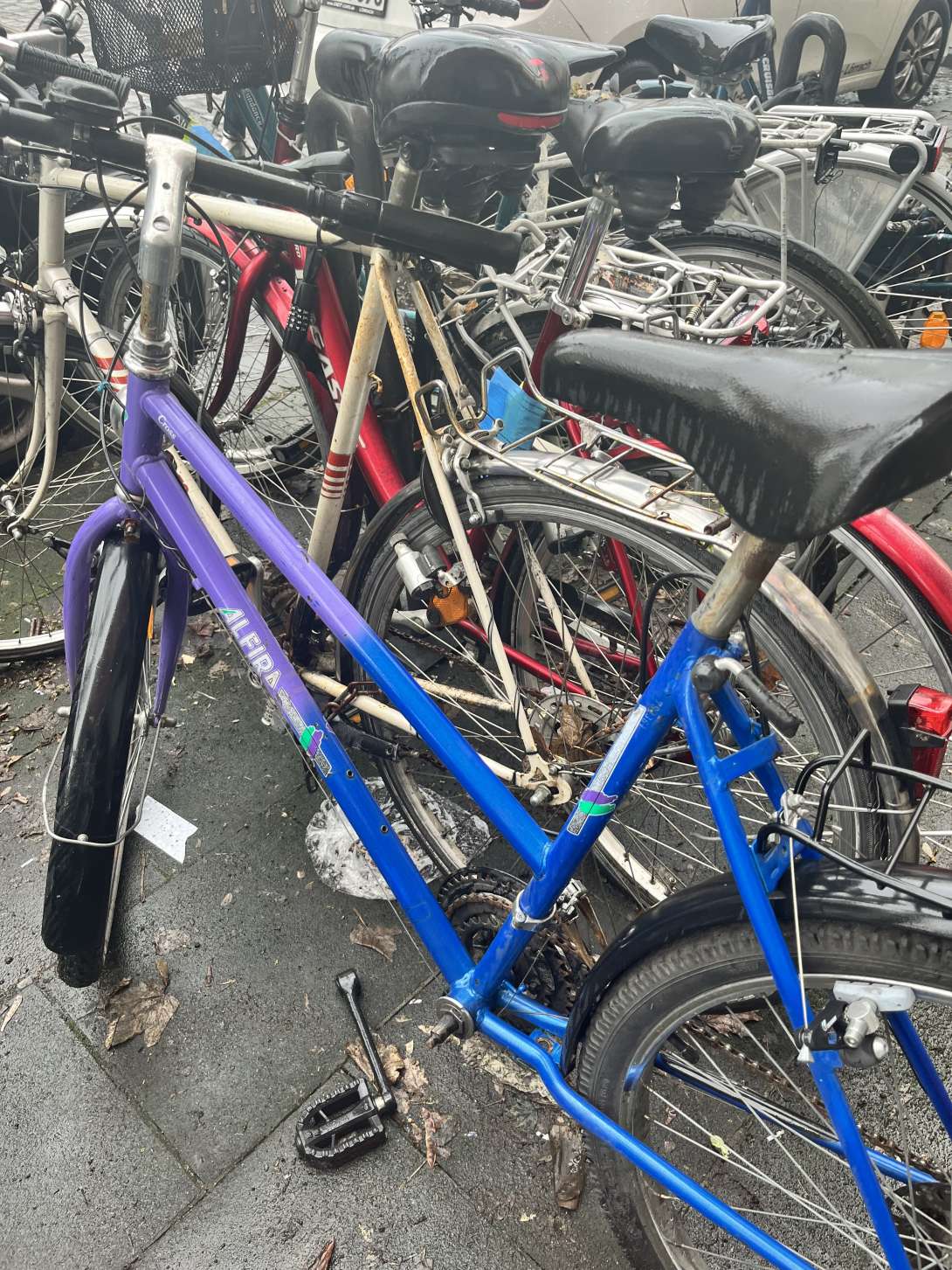 Bild zu gemeldetem Anliegen vom *2024-02-26 13:01:22