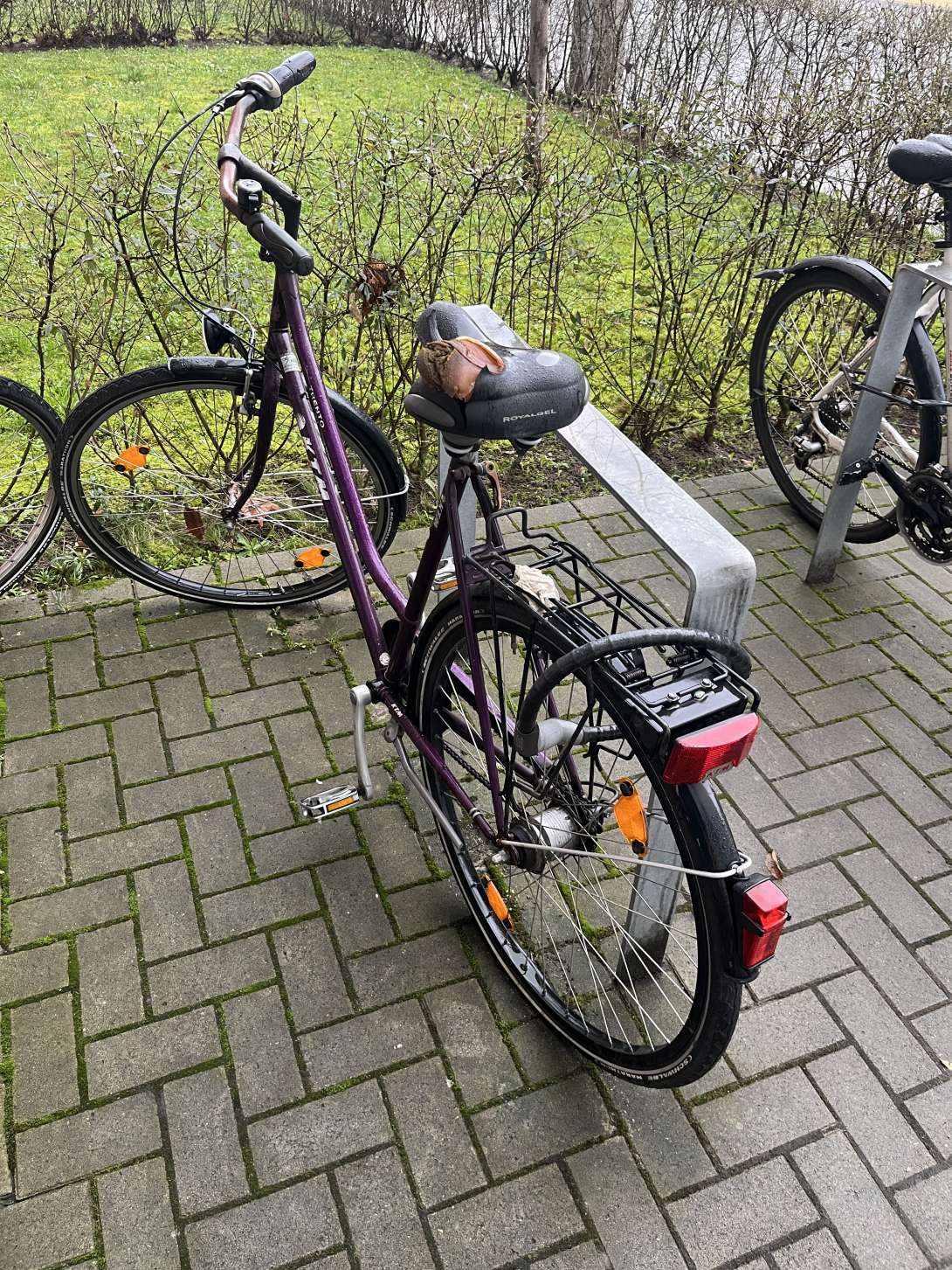 Bild zu gemeldetem Anliegen vom *2024-05-08 09:31:43