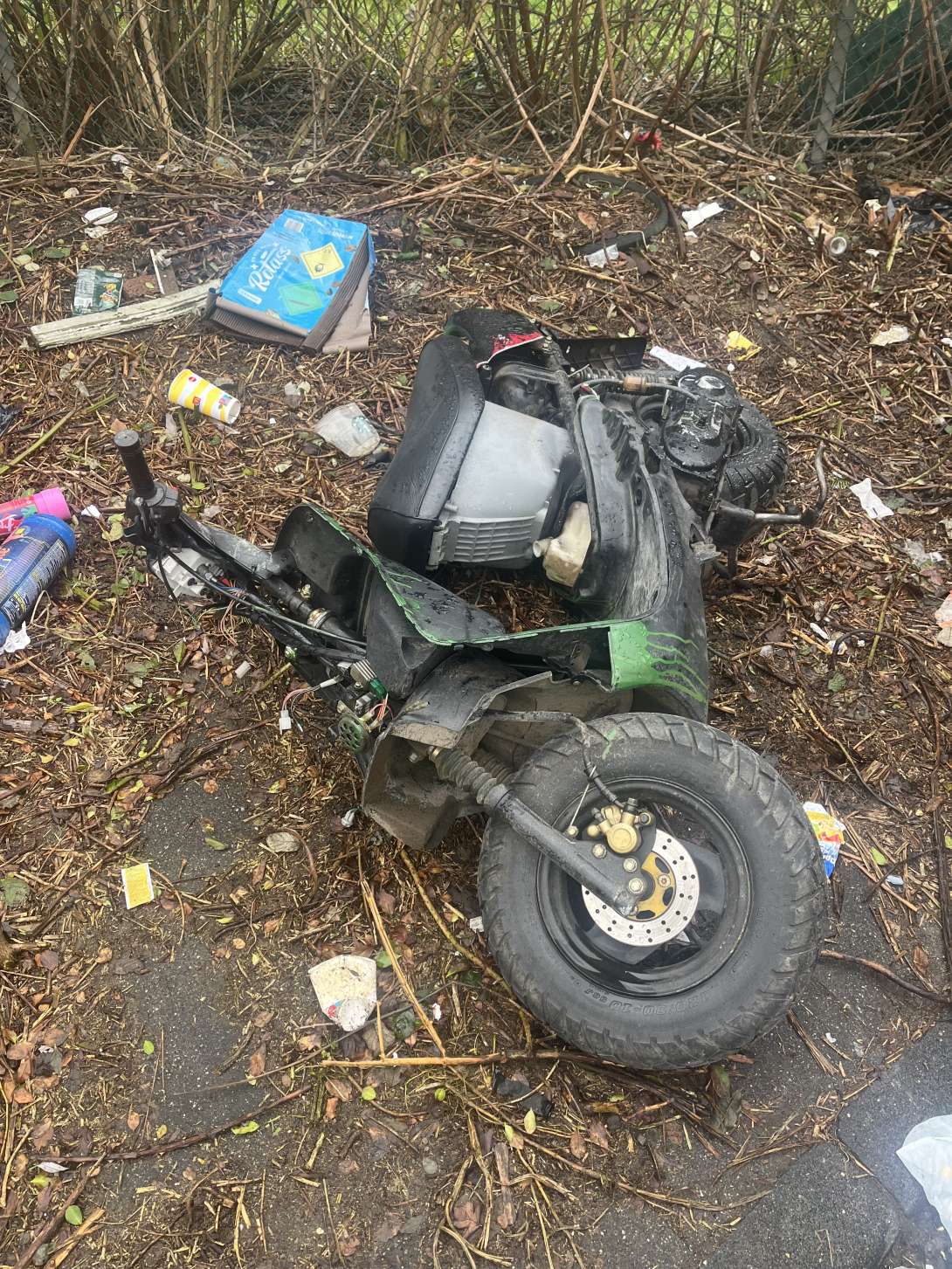 Bild zu gemeldetem Anliegen vom *2024-02-05 10:19:38