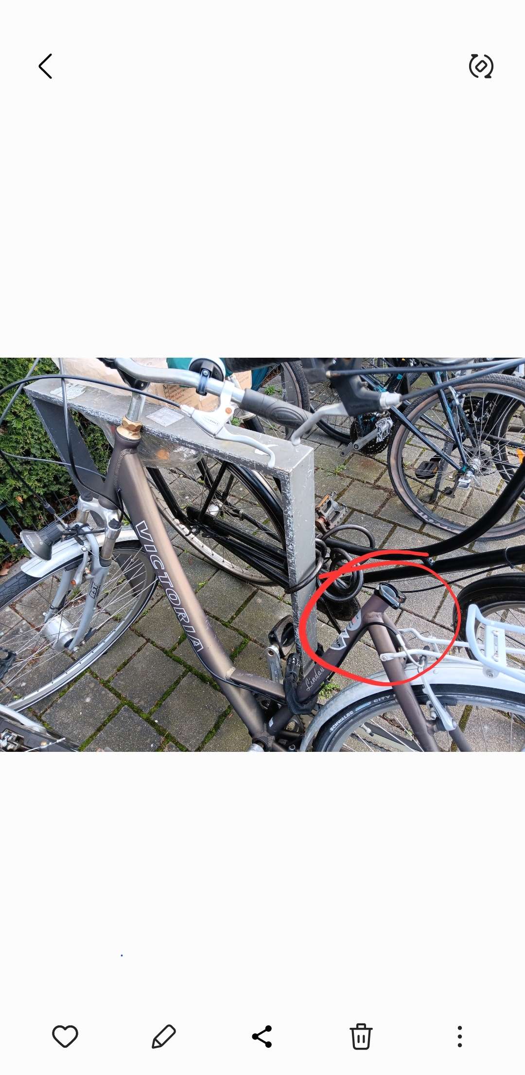 Bild zu gemeldetem Anliegen vom *2024-02-20 15:59:16