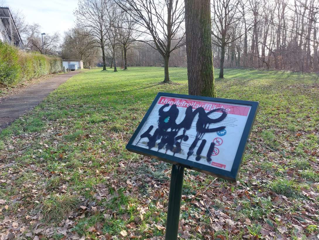Bild zu gemeldetem Anliegen vom *2024-02-04 21:50:11