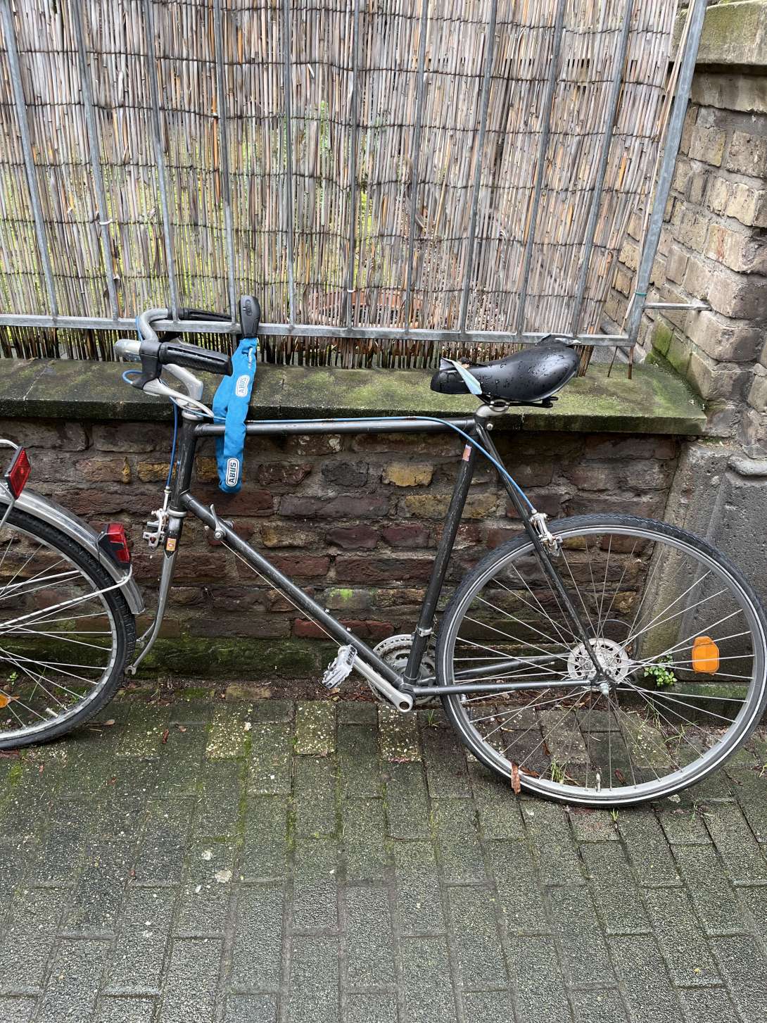 Bild zu gemeldetem Anliegen vom *2024-02-19 09:10:34