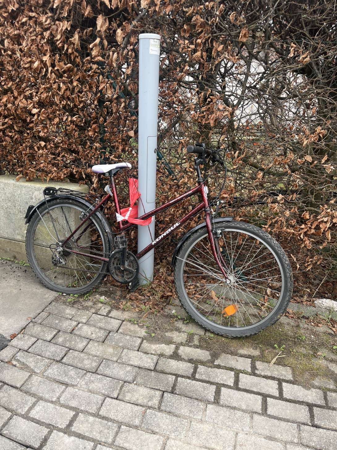 Bild zu gemeldetem Anliegen vom *2024-02-22 10:19:08
