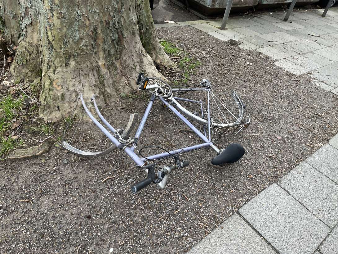 Bild zu gemeldetem Anliegen vom *2024-02-28 16:32:57