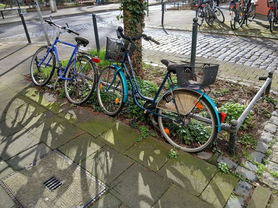 Bild zu gemeldetem Anliegen vom *2024-03-04 19:02:25