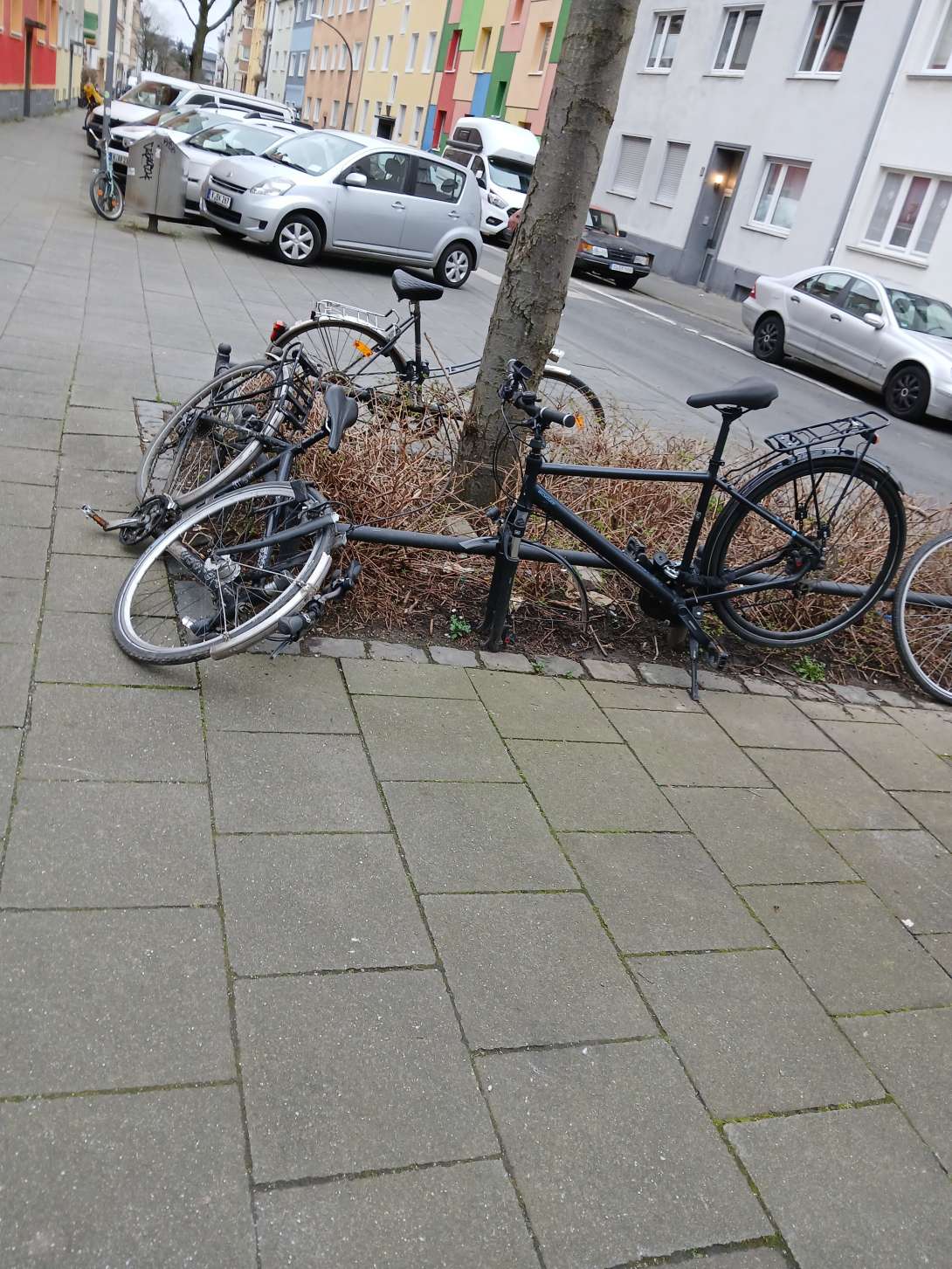 Bild zu gemeldetem Anliegen vom *2024-03-04 19:05:41