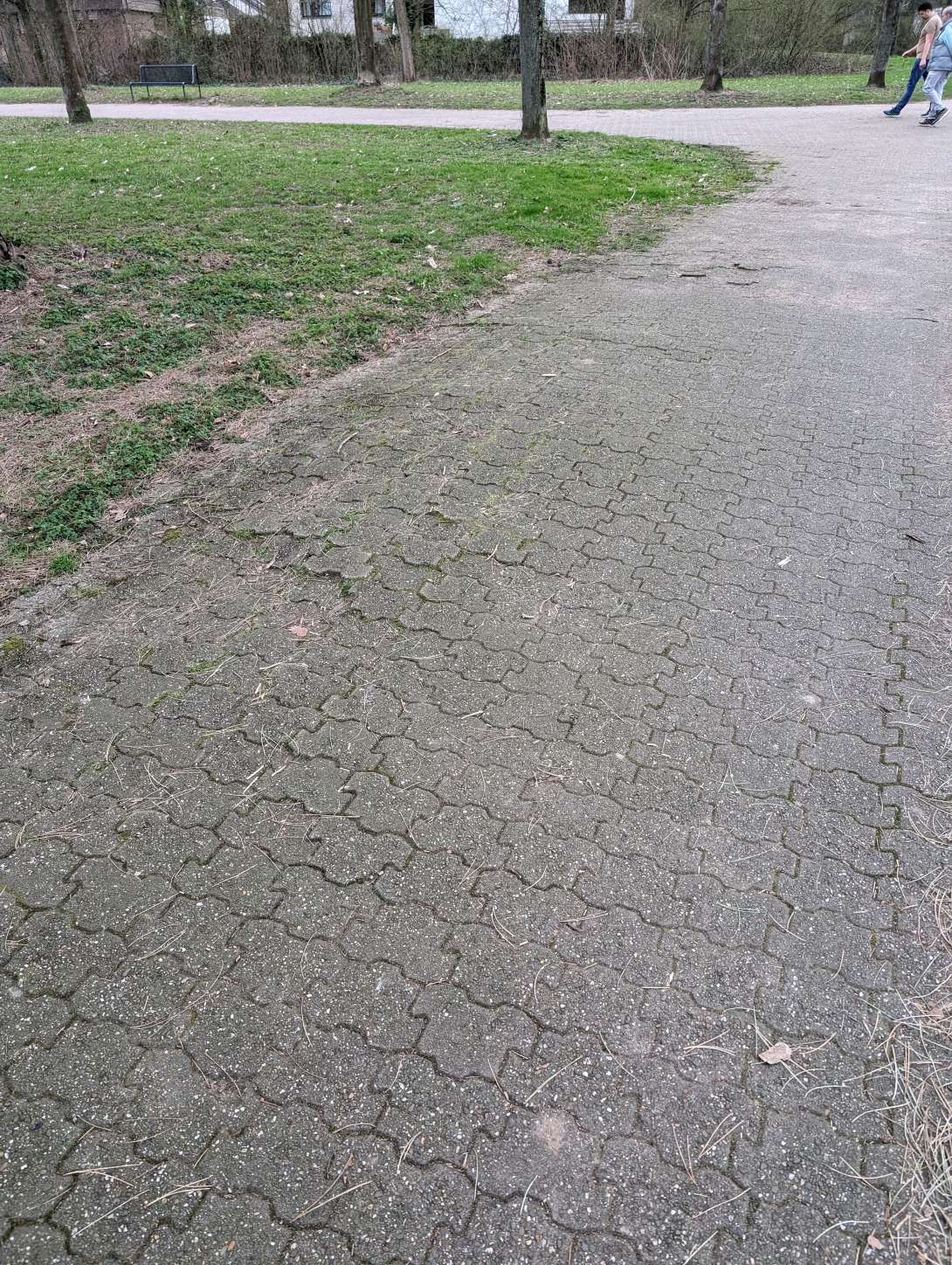 Bild zu gemeldetem Anliegen vom *2024-03-11 11:39:02