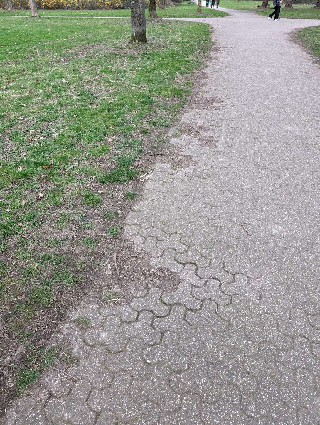 Bild zu gemeldetem Anliegen vom *2024-03-11 11:38:07