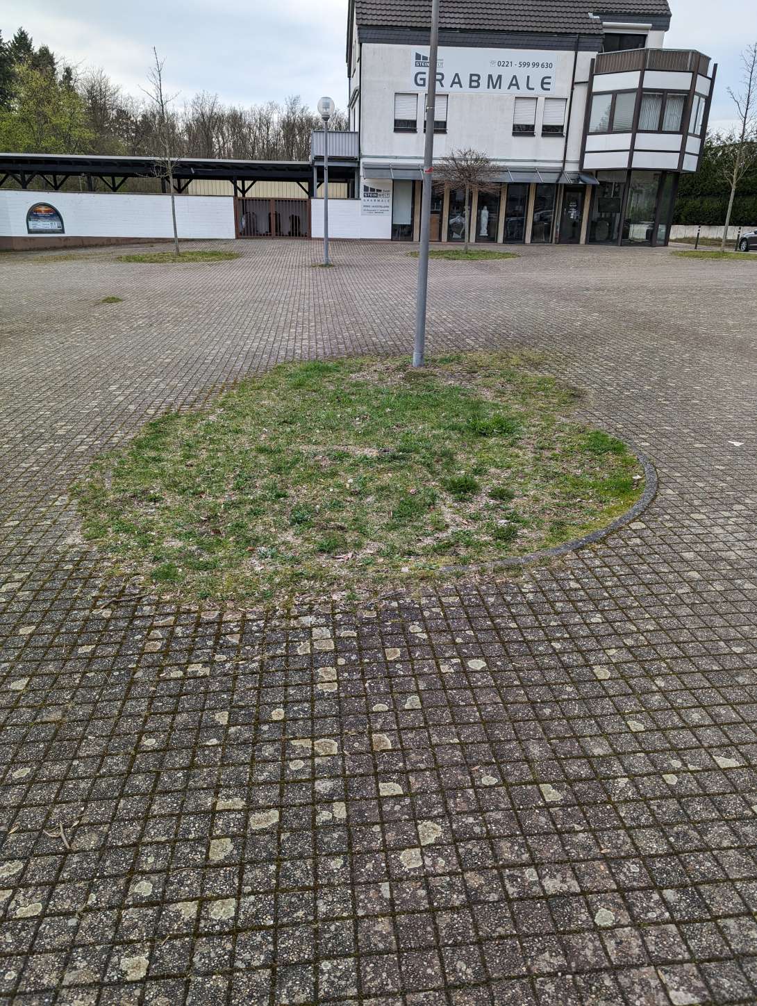 Bild zu gemeldetem Anliegen vom *2024-03-10 16:20:38