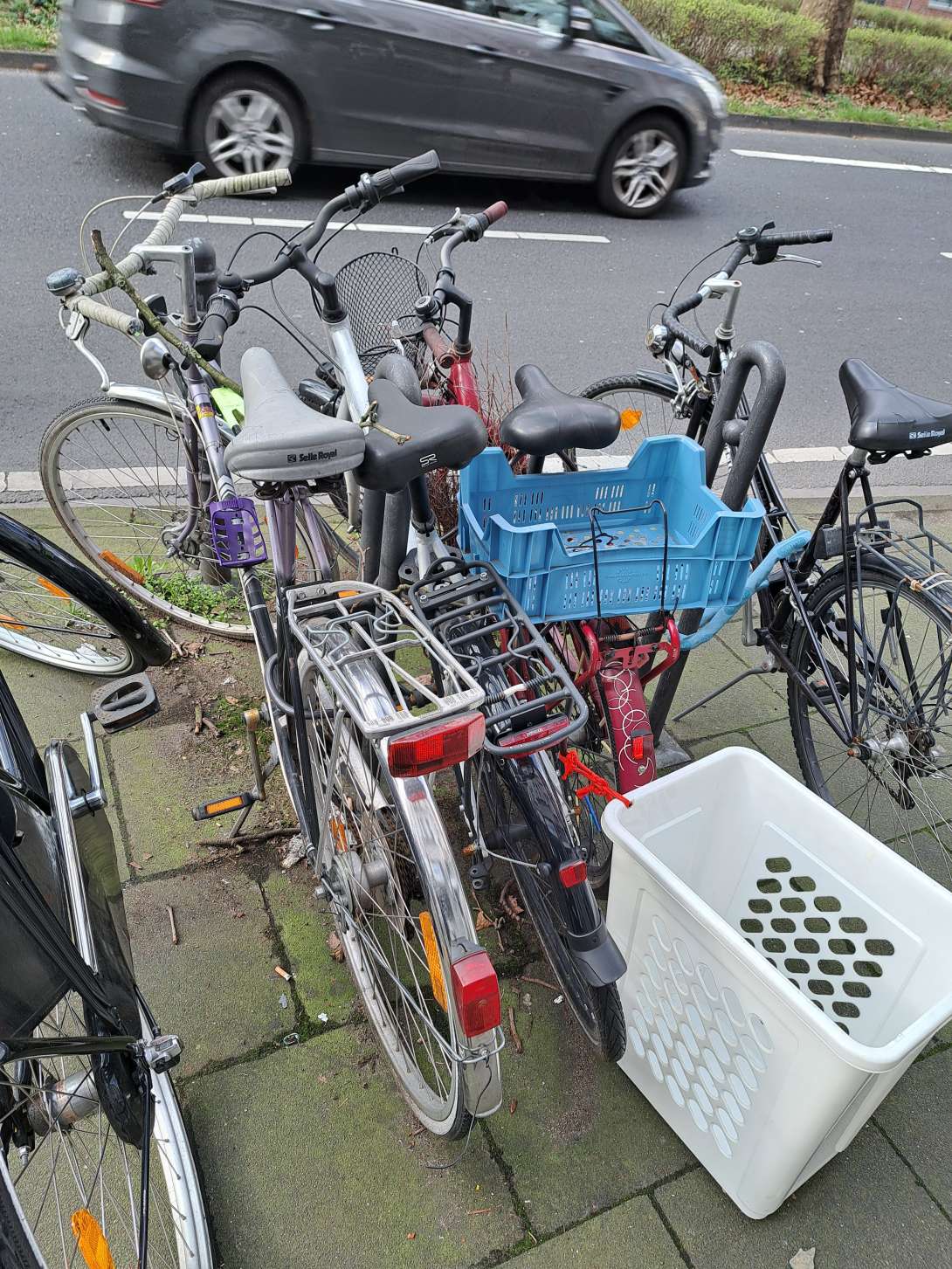 Bild zu gemeldetem Anliegen vom *2024-03-25 09:06:03