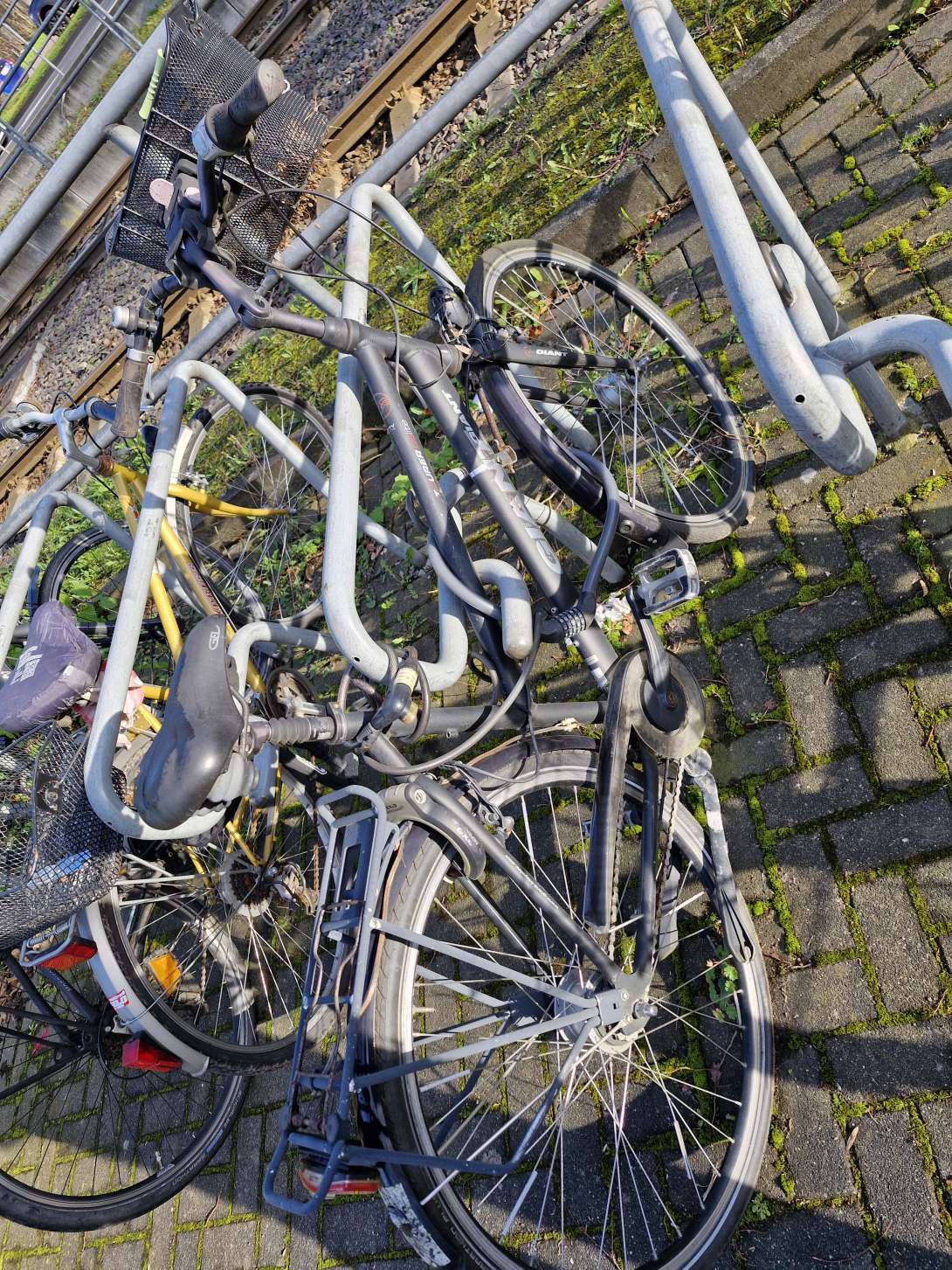 Bild zu gemeldetem Anliegen vom *2024-03-25 13:40:05