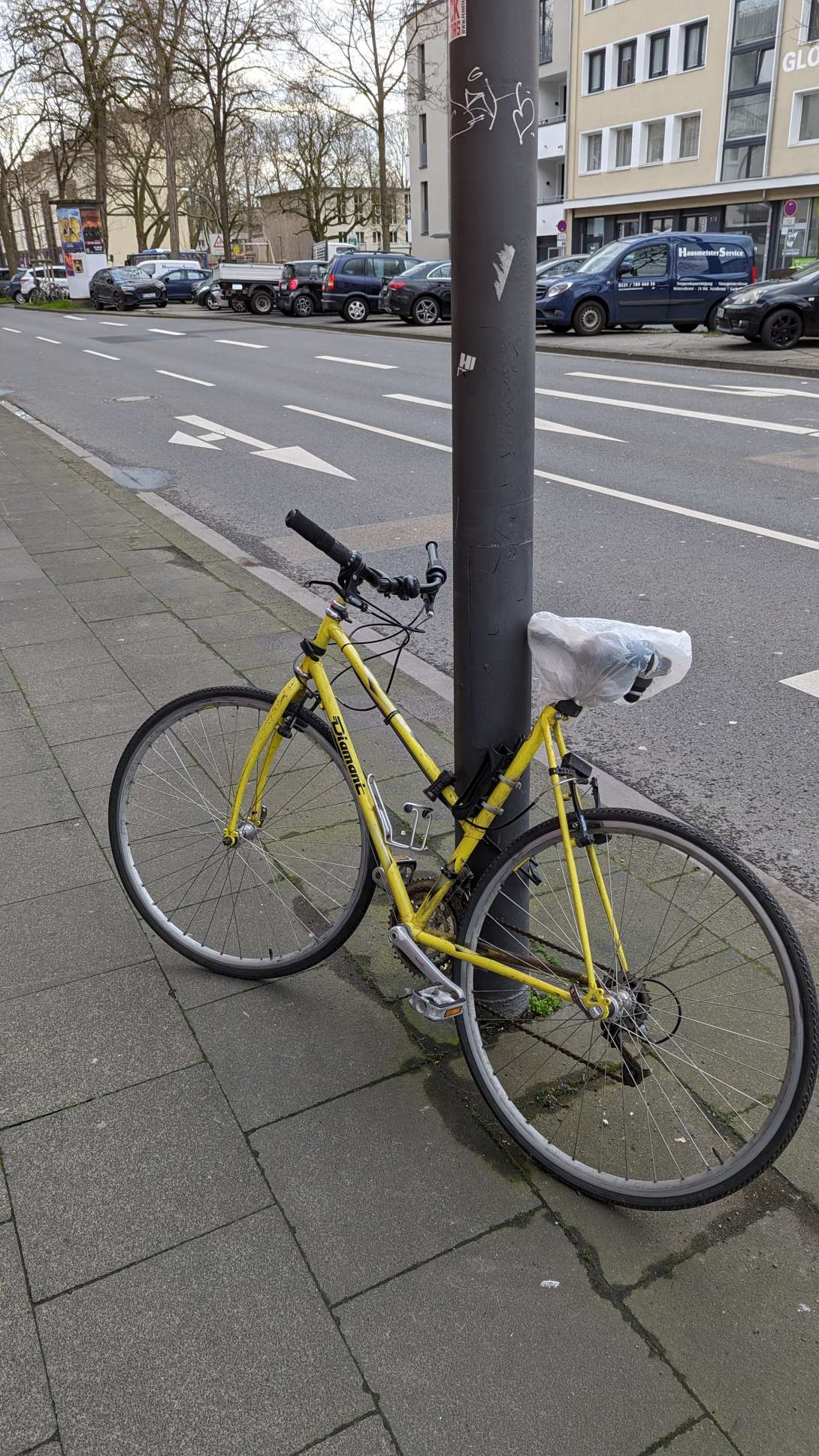 Bild zu gemeldetem Anliegen vom *2024-03-19 06:43:42