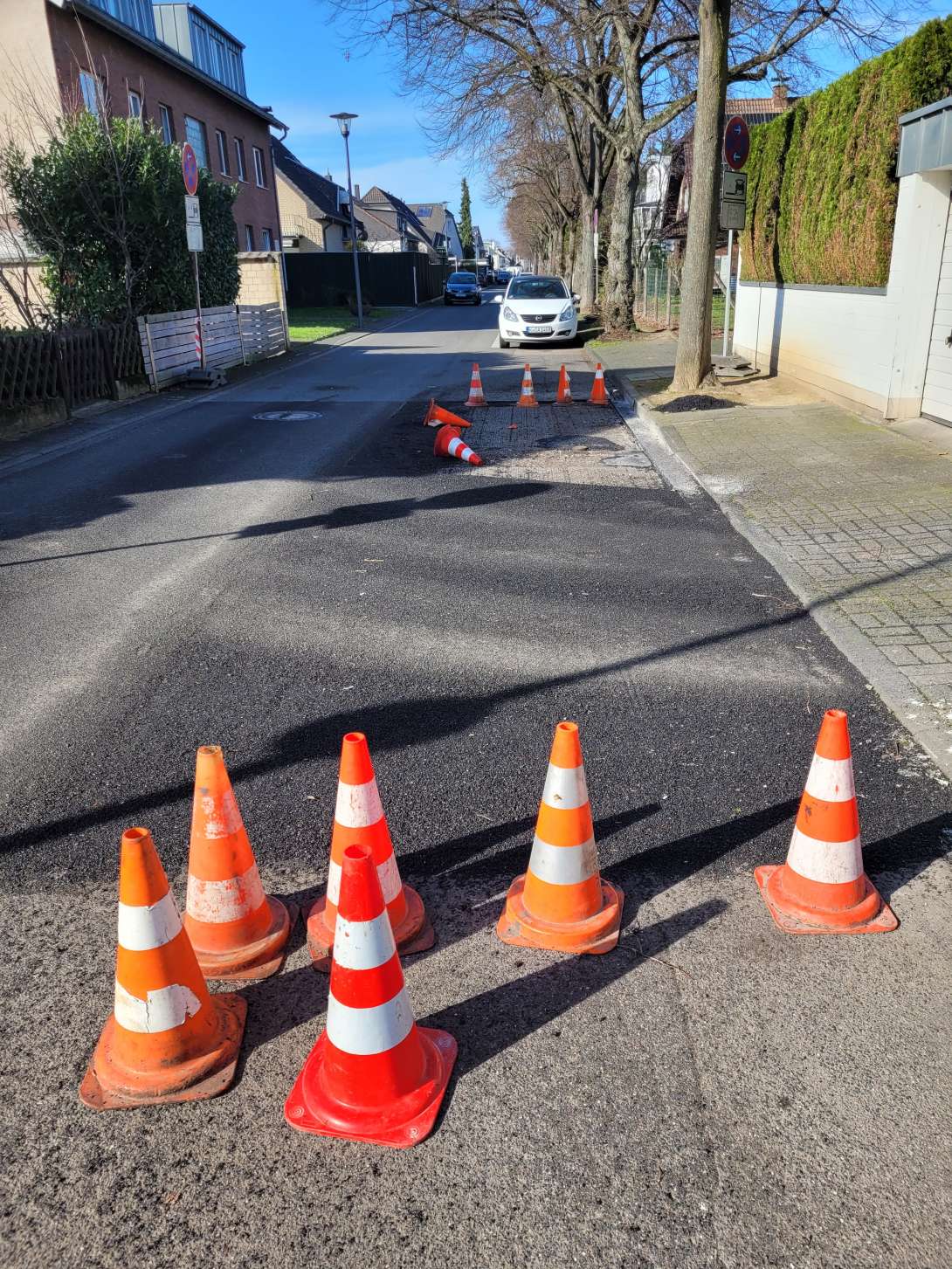 Bild zu gemeldetem Anliegen vom *2024-03-03 21:02:29