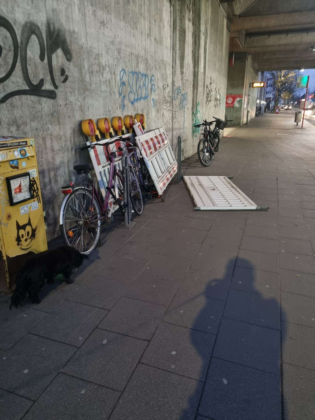 Bild zu gemeldetem Anliegen vom *2024-03-08 07:02:04