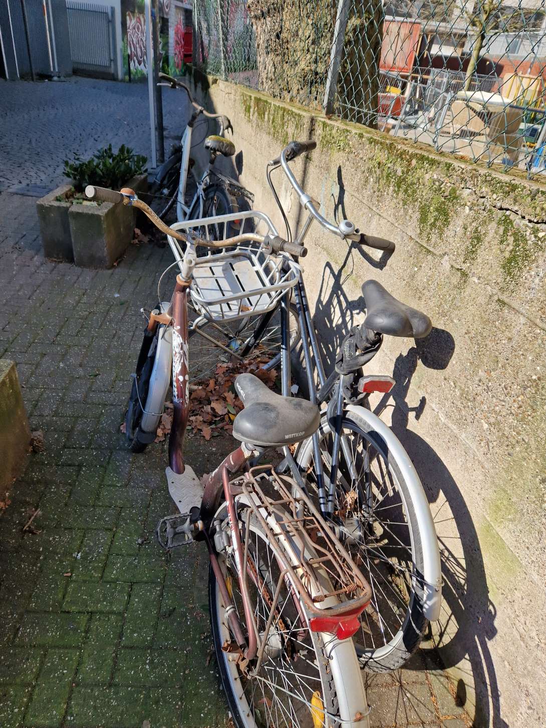 Bild zu gemeldetem Anliegen vom *2024-03-11 14:07:27