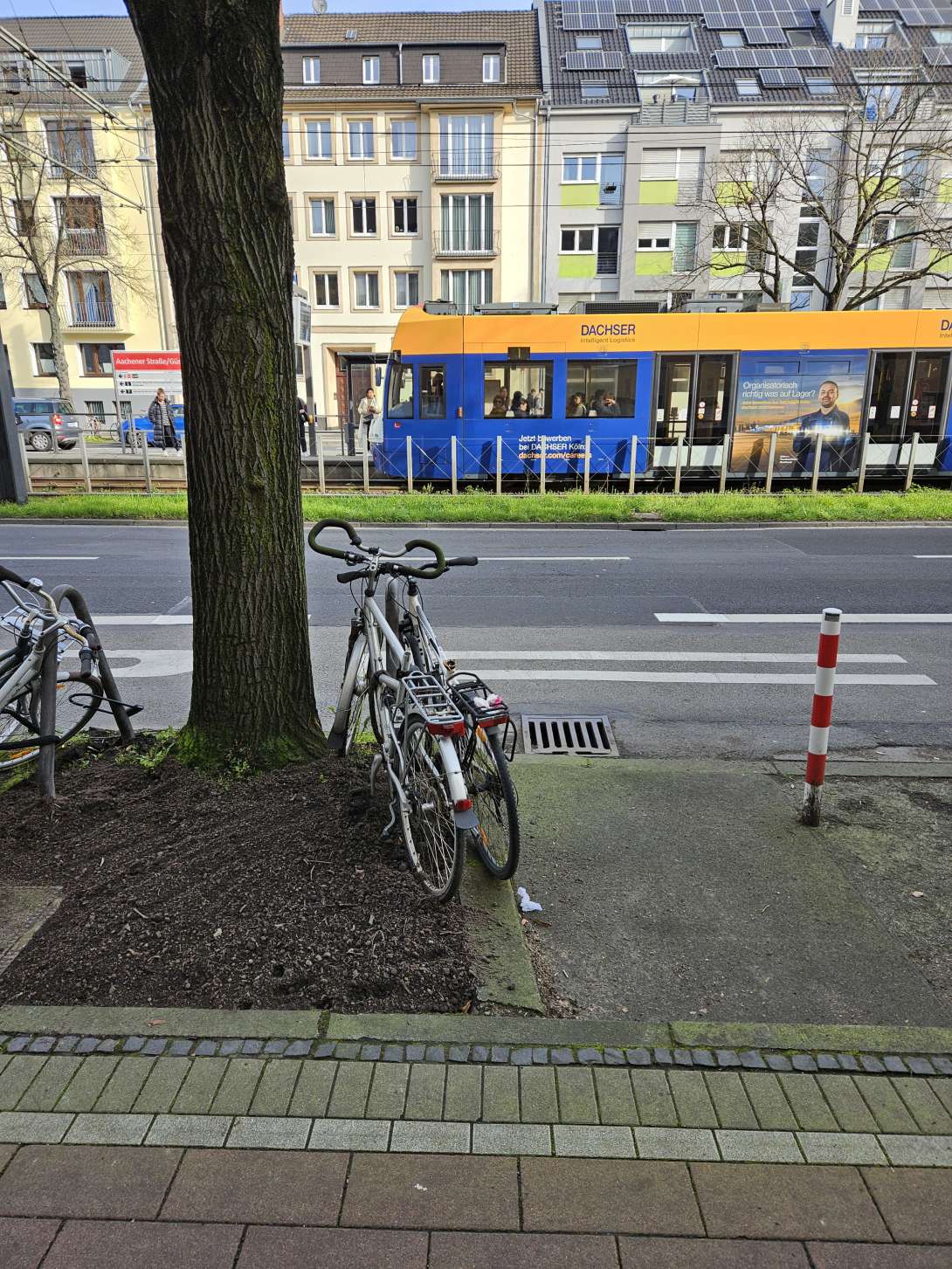 Bild zu gemeldetem Anliegen vom *2024-03-20 10:55:21