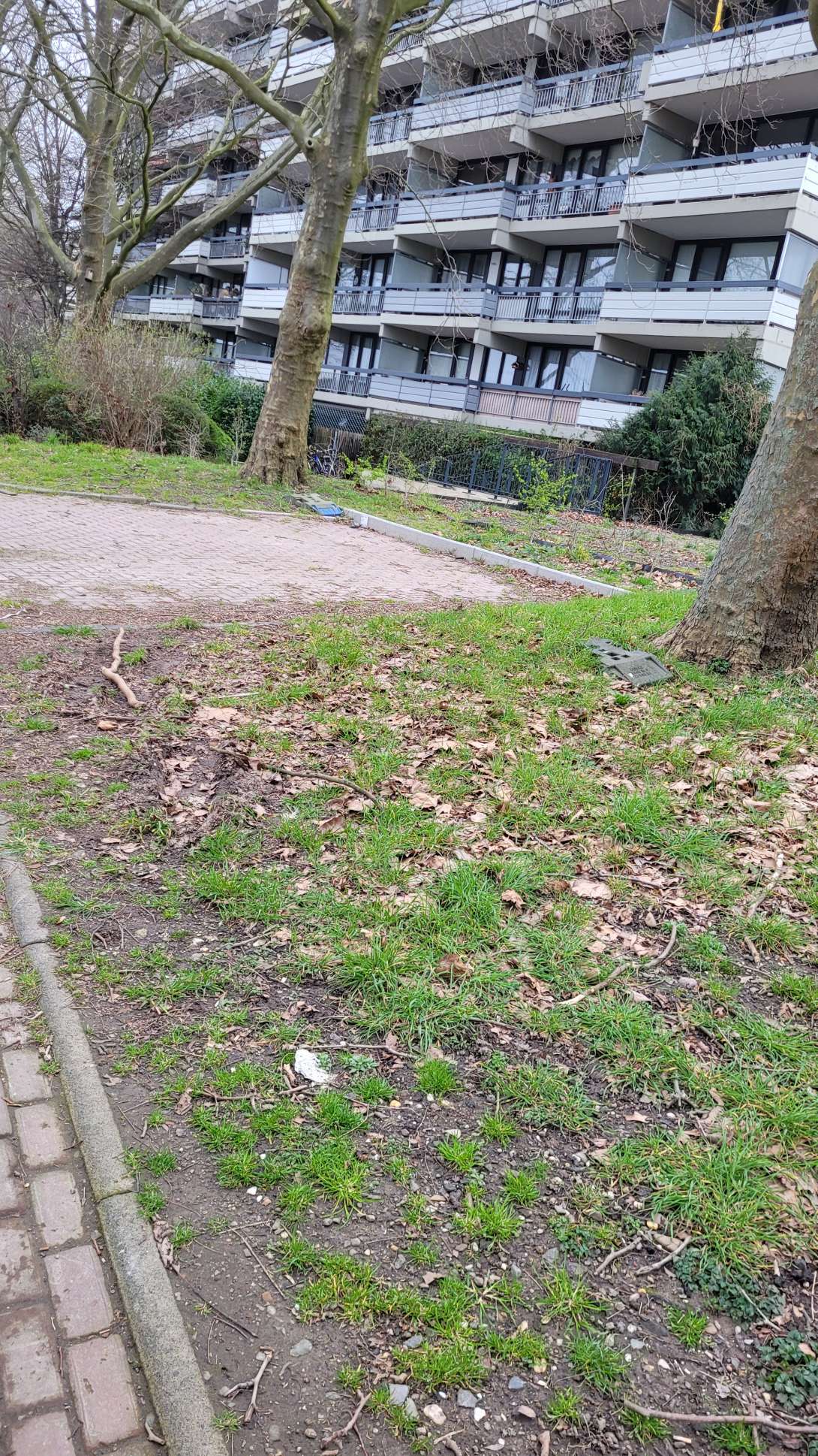 Bild zu gemeldetem Anliegen vom *2024-03-04 09:04:43