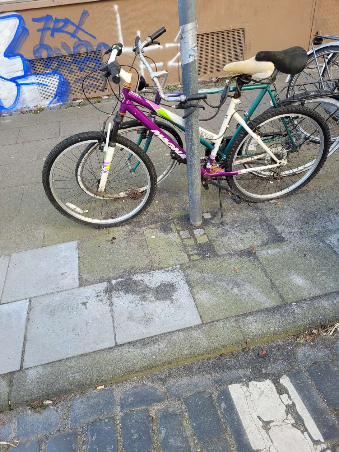 Bild zu gemeldetem Anliegen vom *2024-03-11 14:12:08