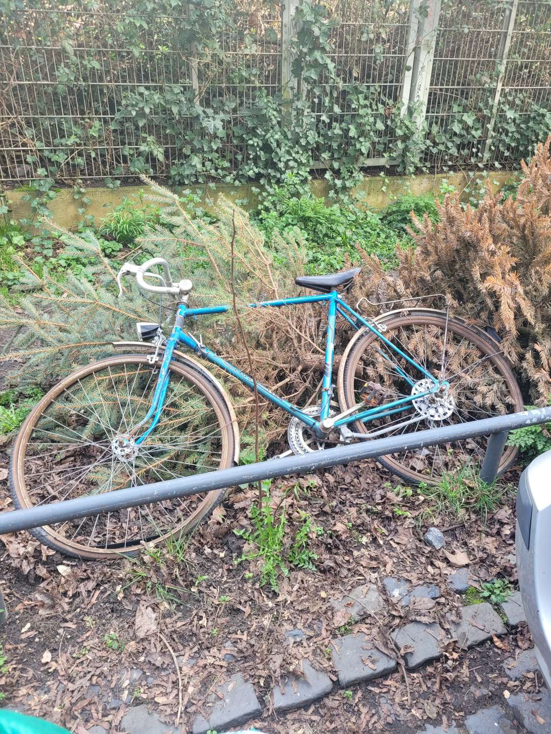 Bild zu gemeldetem Anliegen vom *2024-03-19 09:48:28